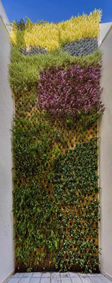 Nature By Raidom アリカンテ エクステリア 写真